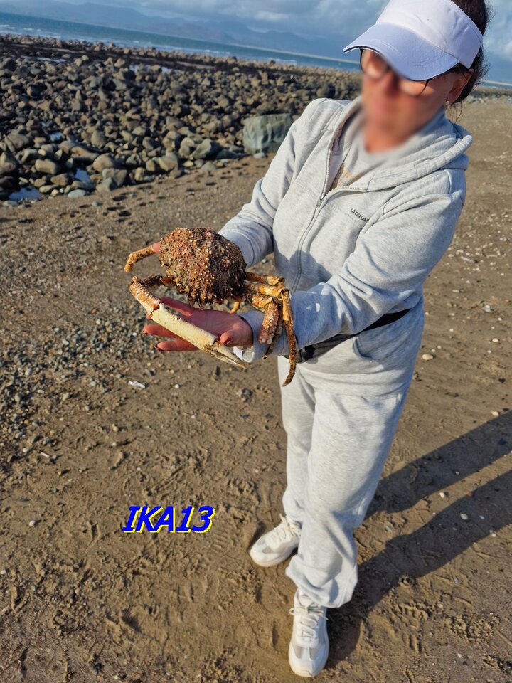20230929_170938.jpg - ika13