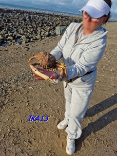 20230929_170938.jpg