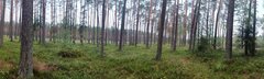 PANO_20230930_133205.jpg