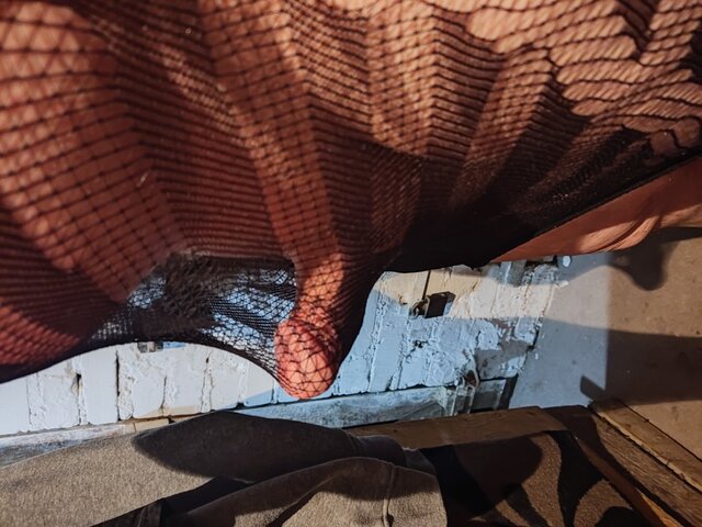 JacaSeks1974