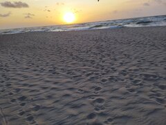 IMG_20230930_181823.jpg