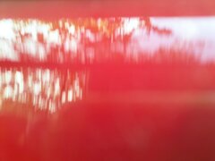IMG20231001102836.jpg