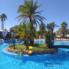 IMG_20231005_213730.jpg