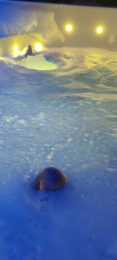 IMG_20231005_235249.jpg