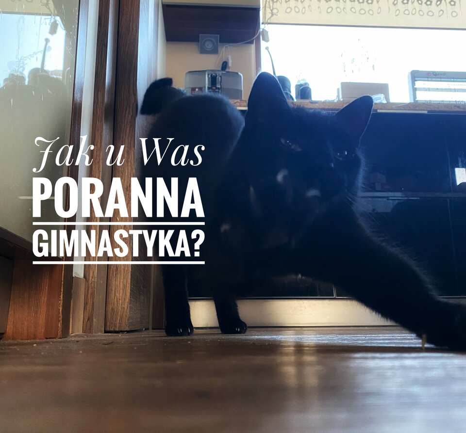 Gimnastyka 🐈‍⬛ - serialowapara19782