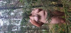 20231007_085956.jpg