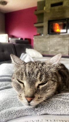 IMG_3069.jpeg