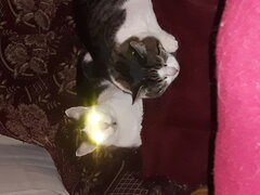 20230414_223413.jpg