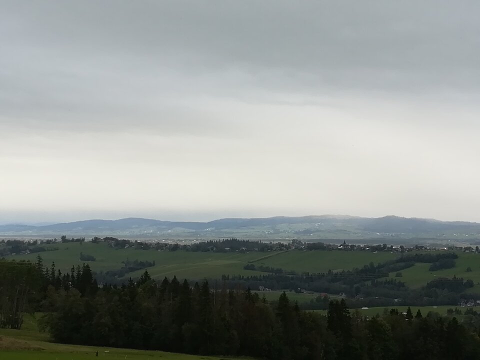 Uwielbiamy - Fanaberia13
