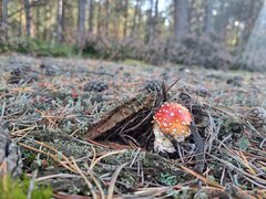 20231008_144122.jpg