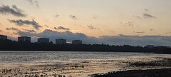 IMG_20231005_180139.jpg