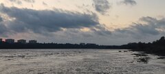IMG_20231005_181023.jpg