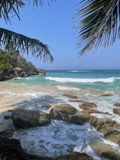IMG_9887.jpeg