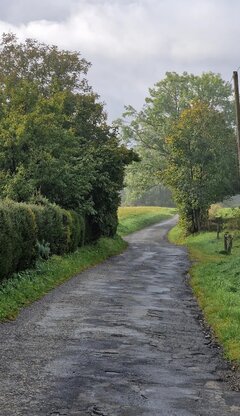 IMG_20231011_175830.jpg