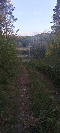 20231012_171843_HDR.jpg
