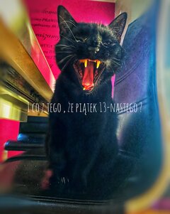 IMG_3126.jpeg