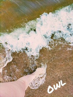 🌅🏖️.jpg