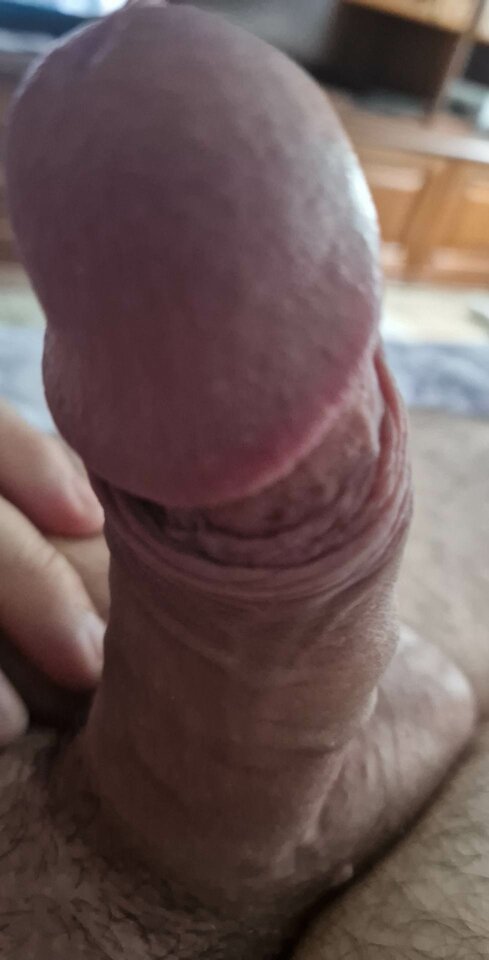 1000022052.jpg - Marek511