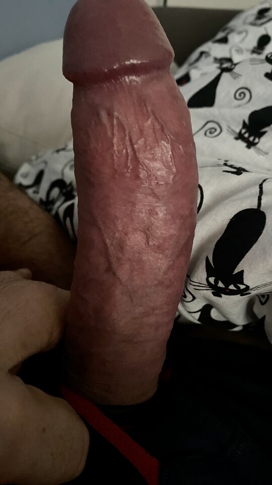 IMG_0841.jpeg - bondjames728