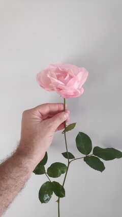 IMG_20231015_100017.jpg