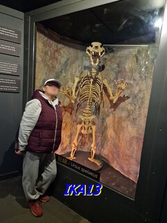 20231015_115713.jpg
