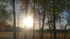 IMG-20231015-WA0002.jpeg