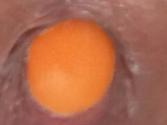 IMG_20231017_085721.jpg