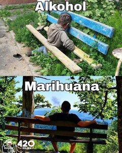 marihuana.jpg