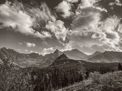IMG_9332.jpeg