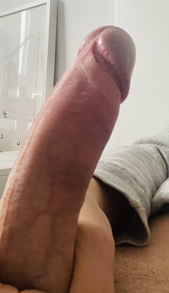 IMG_8554.jpeg