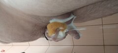 IMG_20231004_201033.jpg