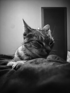IMG_3263.jpeg