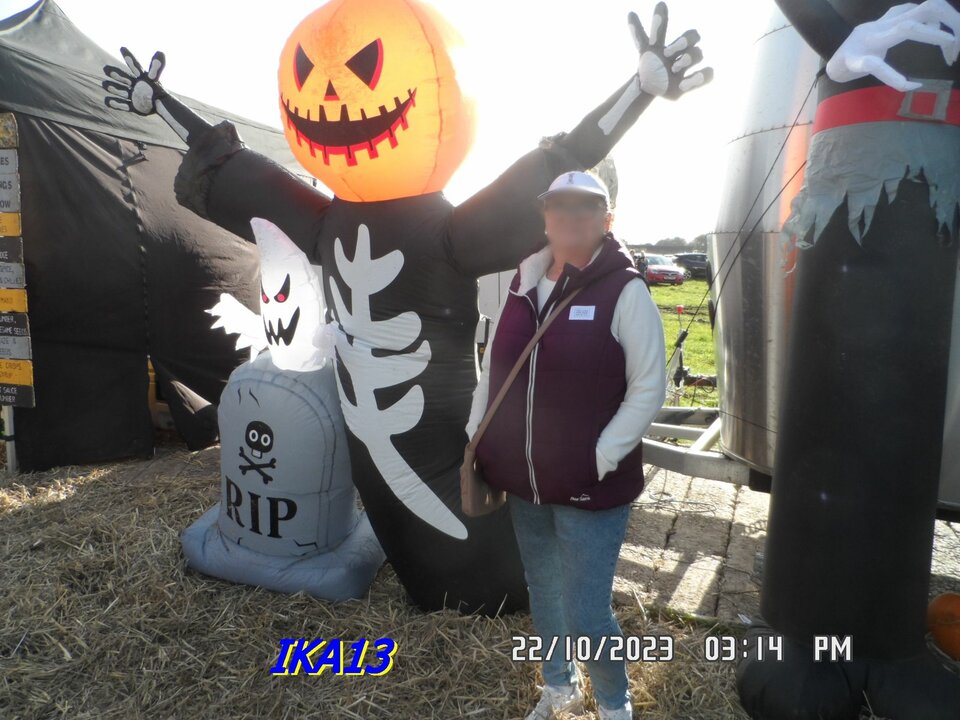 SAM_1747a.jpg - ika13