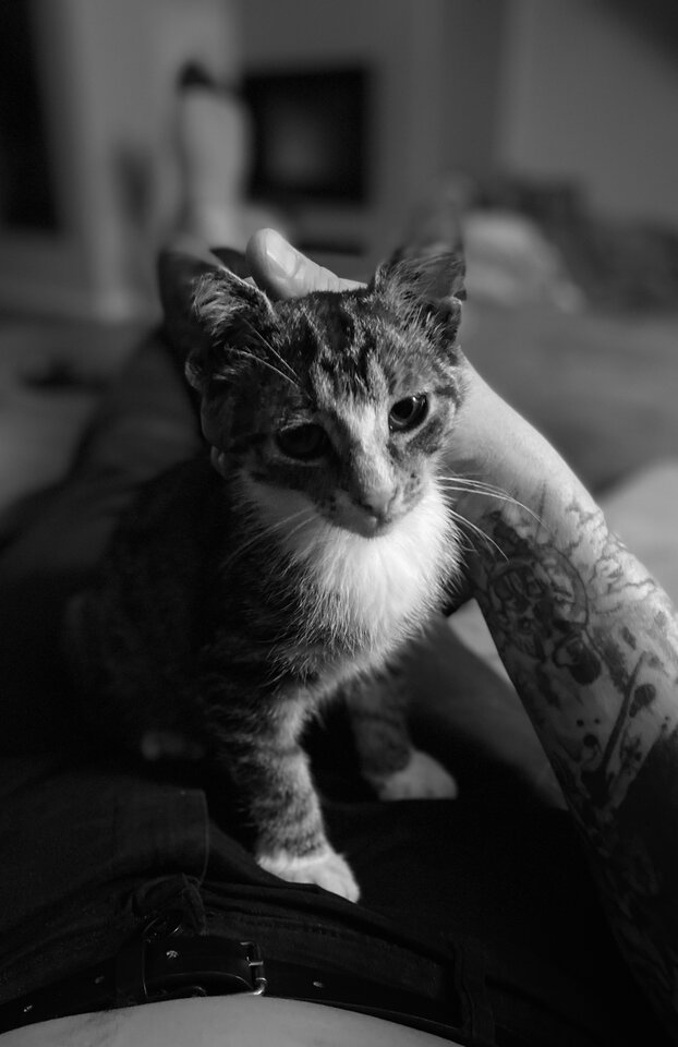IMG_9607.jpeg - FotoRaf1983