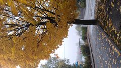 20231022_085954.jpg