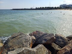 20230905_152344.jpg