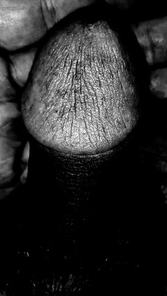IMG_20231026_075340.jpg