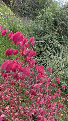 IMG_6918.jpeg