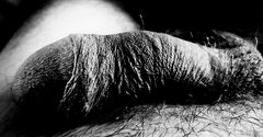IMG_20231028_091627.jpg