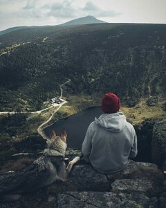 5f81cd6a0a34747786d5dad0a1afd125.jpg