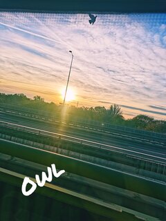 🌄.jpg