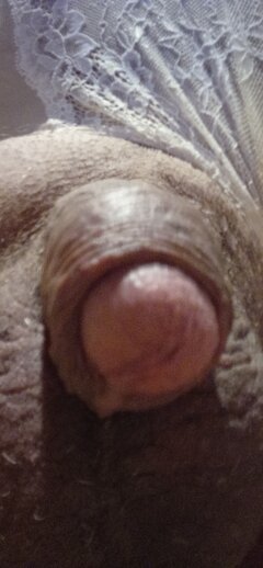 IMG_20231031_202650.jpg