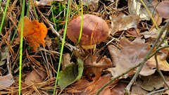 20231029_134745.jpg