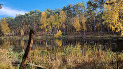 20231029_131508.jpg