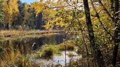 20231029_133105.jpg