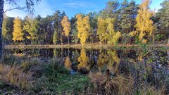 20231029_140538.jpg