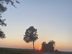 IMG_9967.jpeg