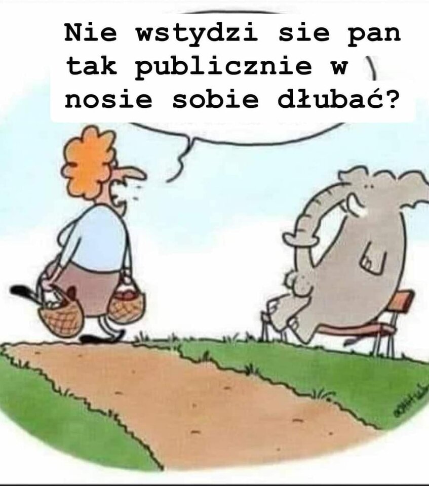398690556_240055432415160_412672921323874413_n.jpg - diabel_z_piekla_