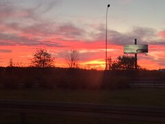 20231103_061843.jpg