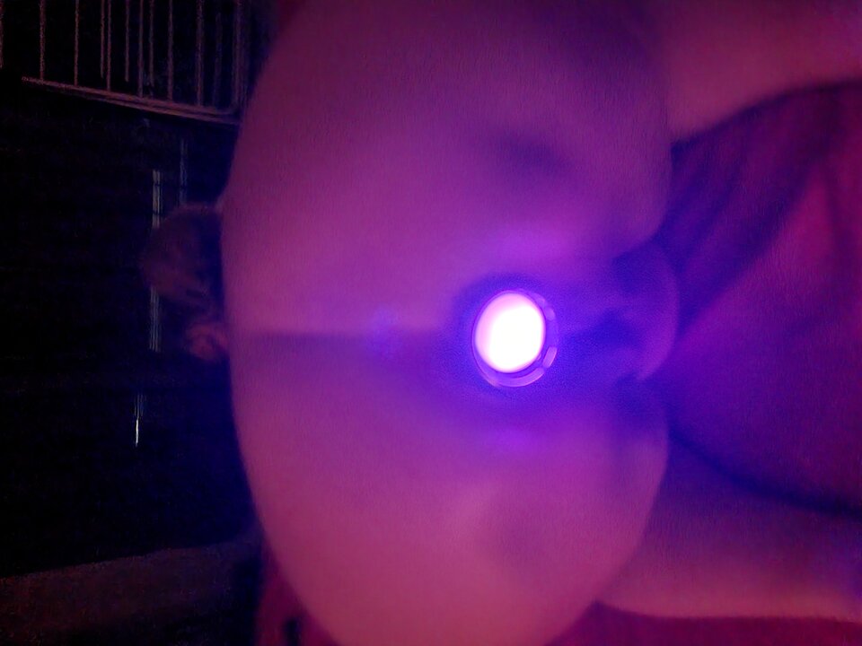 20231103_231211.jpg - Felusiowie